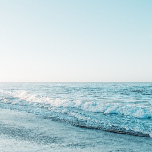 【柏・松戸・流山】2025年Pawsハロウィンフォトコンテスト開催決定！