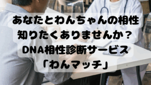 あなたとわんちゃんの相性知りたくありませんか？DNA相性診断サービス「わんマッチ」