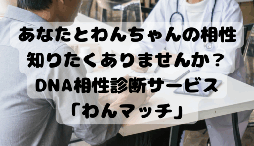 あなたとわんちゃんの相性知りたくありませんか？DNA相性診断サービス「わんマッチ」