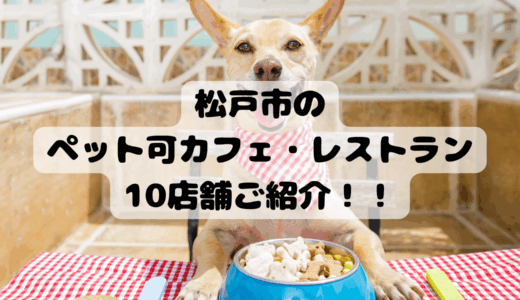 【松戸市】松戸にあるペット可のカフェ・レストランを10店舗紹介！