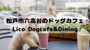 【松戸市】松戸のドッグカフェLico Dogcafe&Dining（リコドッグカフェ＆ダイニング）をご紹介