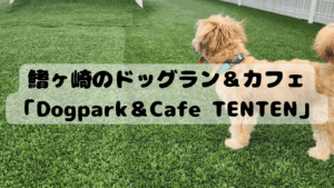 【流山市】鰭ヶ崎のドッグラン＆カフェ「Dogpark＆Cafe TENTEN」