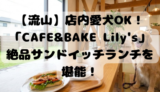 【流山】店内愛犬OK！「CAFE&BAKE Lily’s」で絶品サンドイッチランチを堪能