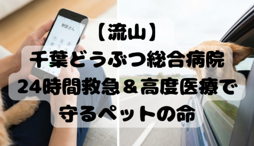【流山】千葉どうぶつ総合病院｜24時間救急＆高度医療で守るペットの命
