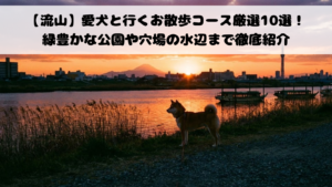 【流山】愛犬と行くお散歩コース厳選10選！緑豊かな公園や穴場の水辺まで徹底紹介