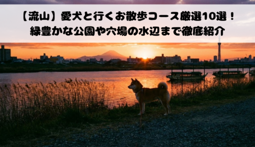 【流山】愛犬と行くお散歩コース厳選10選！緑豊かな公園や穴場の水辺まで徹底紹介
