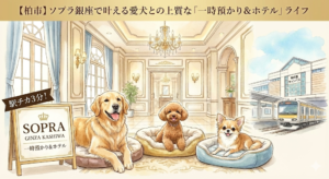 【柏市】駅チカ3分！ソプラ銀座で叶える愛犬との上質な「一時預かり＆ホテル」ライフ