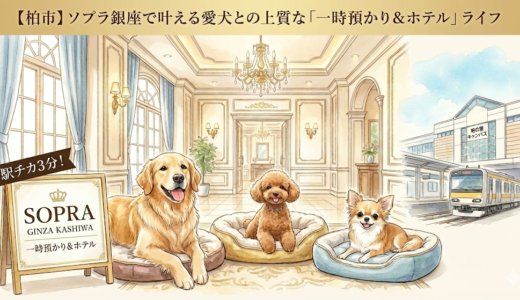 【柏市】駅チカ3分！ソプラ銀座で叶える愛犬との上質な「一時預かり＆ホテル」ライフ