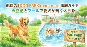 【船橋市】船橋の「DOG PARK runrunrun」徹底ガイド！天然芝とプールで愛犬が輝く休日を
