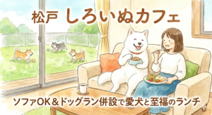 【松戸】「しろいぬカフェ」を徹底レポ！ソファOK＆ドッグラン併設で愛犬と至福のランチを