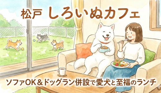 【松戸】「しろいぬカフェ」を徹底レポ！ソファOK＆ドッグラン併設で愛犬と至福のランチを