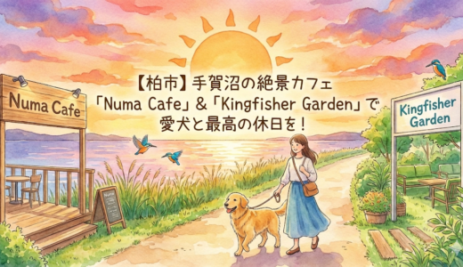 【柏市】手賀沼の絶景カフェ「Numa Cafe」＆「Kingfisher Garden」で愛犬と最高の休日を！