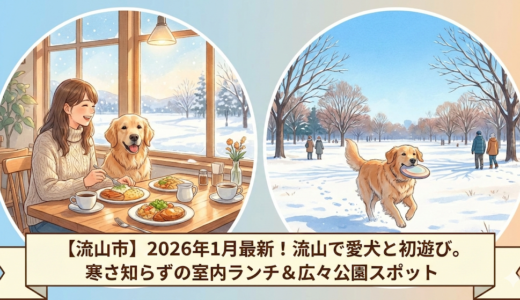 【流山市】2026年1月最新！流山で愛犬と初遊び。寒さ知らずの室内ランチ＆広々公園スポット