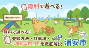 【浦安市】浦安公園ドッグラン無料で遊べる！登録方法・駐車場・リアルな口コミを徹底解説