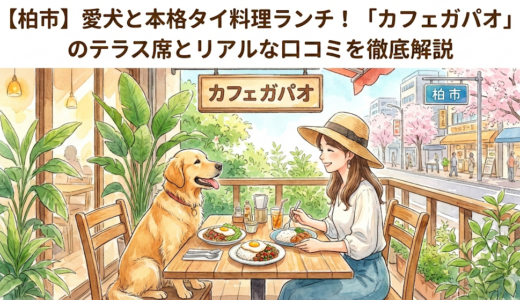 【柏市】愛犬と本格タイ料理ランチ！「カフェガパオ」のテラス席とリアルな口コミを徹底解説
