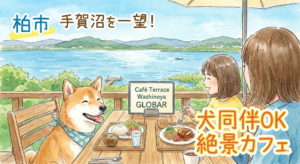 【柏市】手賀沼を一望！犬同伴OKの絶景カフェ「カフェテラス鷲野谷GLOBAR」で愛犬と極上ランチ