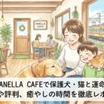 【流山市】ANELLA CAFEで保護犬・猫と運命の出会い!料金や評判、癒やしの時間を徹底レポート