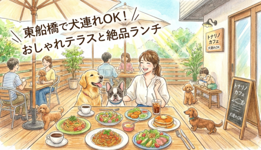【船橋市】東船橋で犬連れOK！「トナリノカフェ」のおしゃれテラスと絶品ランチ