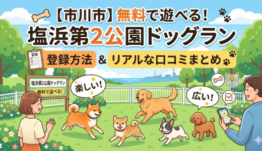 【市川市】無料で遊べる！塩浜第2公園ドッグランの登録方法とリアルな口コミまとめ