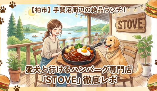 【柏市】手賀沼周辺の絶品ランチ！愛犬と行けるハンバーグ専門店「STOVE」徹底レポ