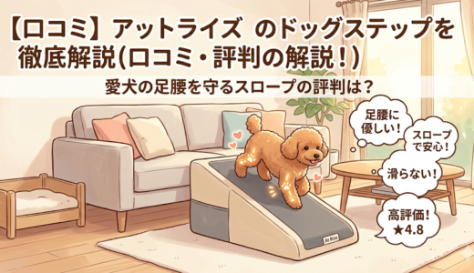 【口コミ】アットライズのドッグステップを徹底解説！愛犬の足腰を守るスロープの評判は？