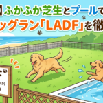 【山武市】ふかふか芝生とプールで大喜び!貸切ドッグラン「LADF」を徹底解説
