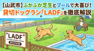 【山武市】ふかふか芝生とプールで大喜び！貸切ドッグラン「LADF」を徹底解説