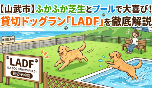 【山武市】ふかふか芝生とプールで大喜び！貸切ドッグラン「LADF」を徹底解説