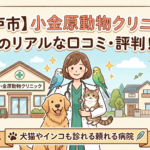 【松戸市】小金原動物クリニックのリアルな口コミ・評判!犬猫やインコも診れる頼れる病院