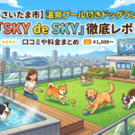【さいたま市】温泉プール付きドッグラン「SKY de SKY」徹底レポ!口コミや料金まとめ
