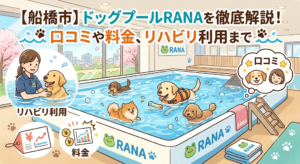 【船橋市】ドッグプールRANAを徹底解説！口コミや料金、リハビリ利用まで
