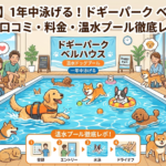 【千葉市】1年中泳げる!ドギーパーク ベルハウスの口コミ・料金・温水プール徹底レポ