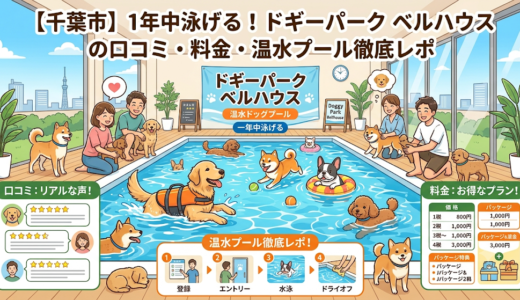 【千葉市】1年中泳げる！ドギーパーク ベルハウスの口コミ・料金・温水プール徹底レポ
