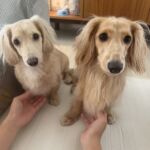 未来と福
